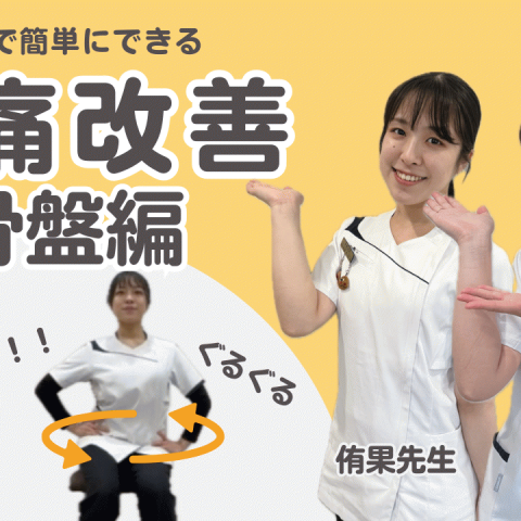 【骨盤まわし】自宅でできる腰痛対策セルフケア【腰痛予防】