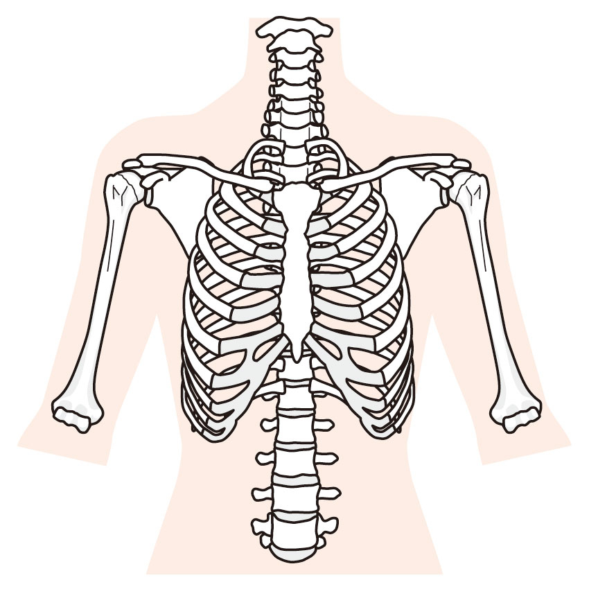 肋骨骨折でお悩みの方へ 医師からも高評価の名古屋市緑区の幹整体院