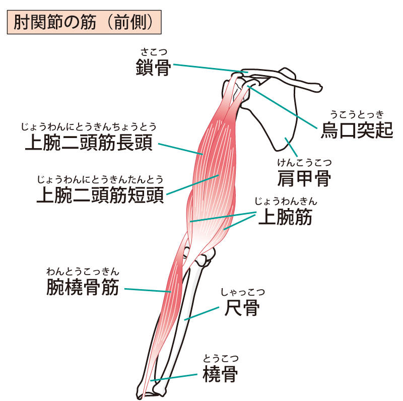 786611 (1).jpg