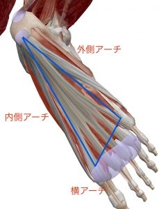 足のアーチ