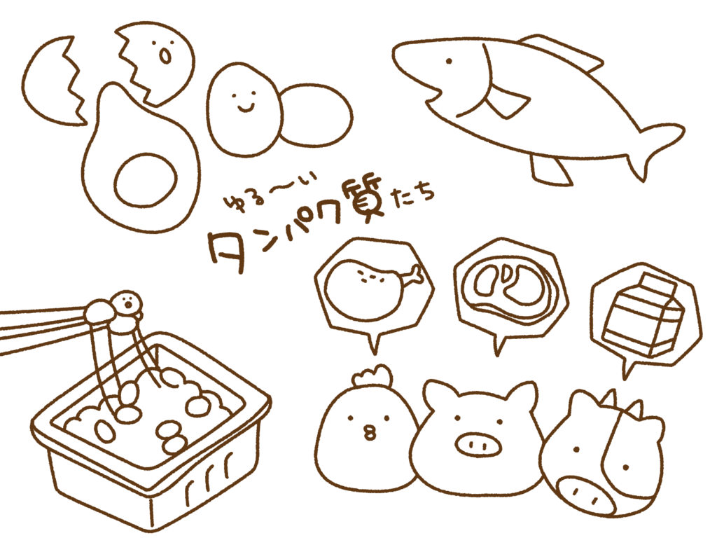 たんぱく質の種類