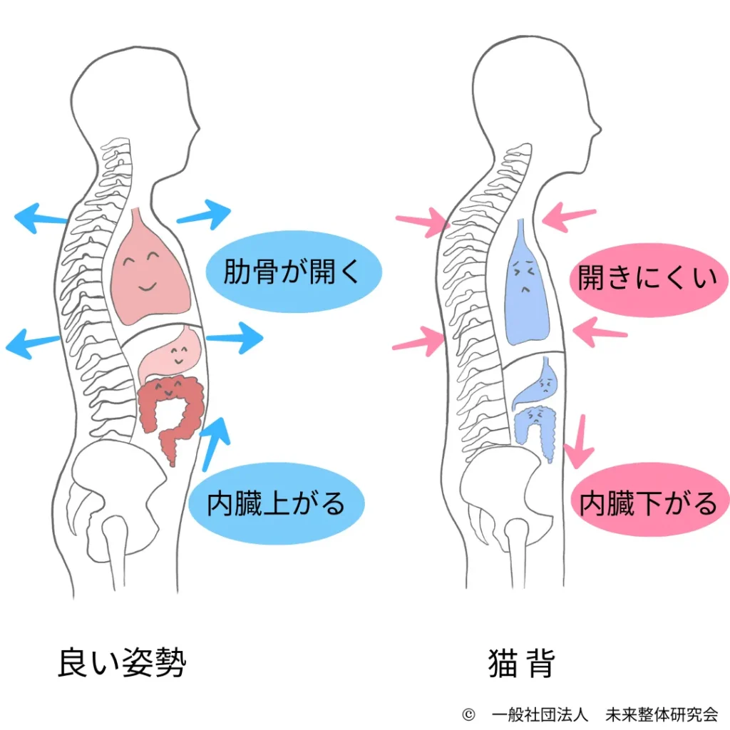 呼吸への影響