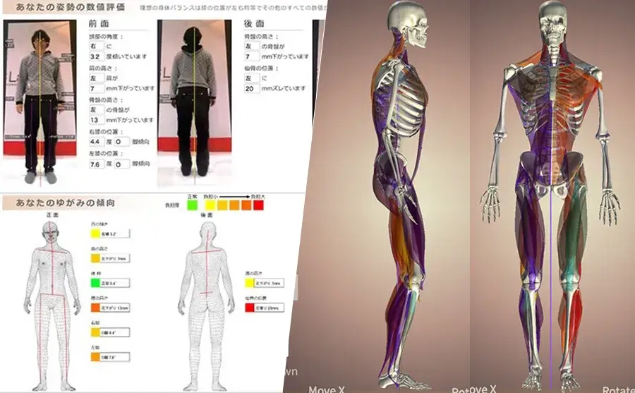 幹整体院インボディAI分析