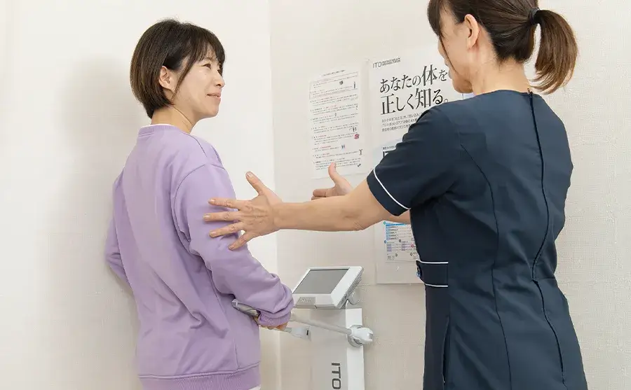 体組織系