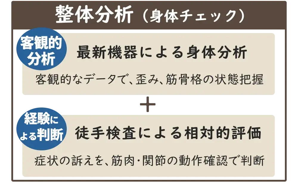 整体分析
最新機器による身体分析
徒手検査による相対的評価