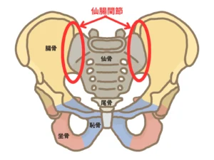仙腸関節