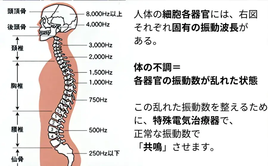 振動波長