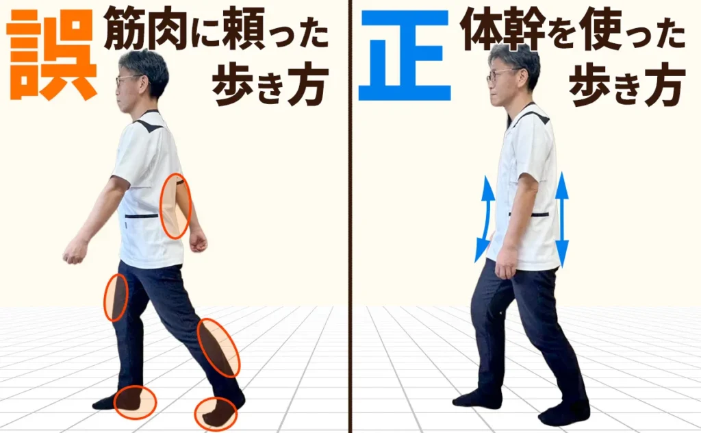 歩き方の違い