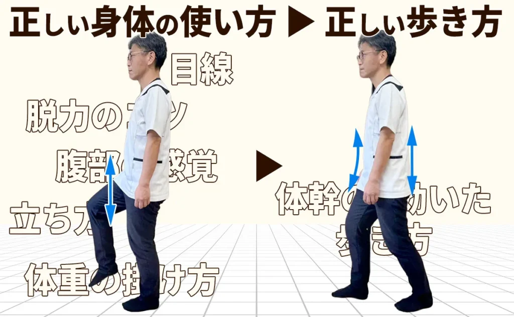 正しい身体の使い方→正しい歩き方