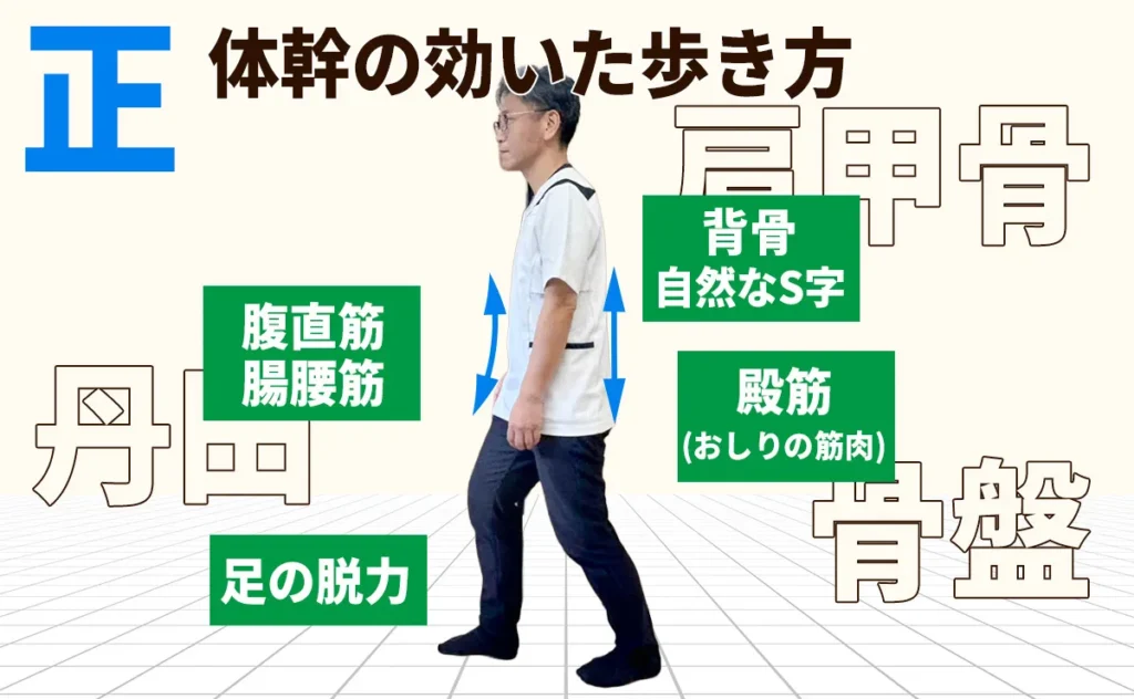 体幹を使った歩き方